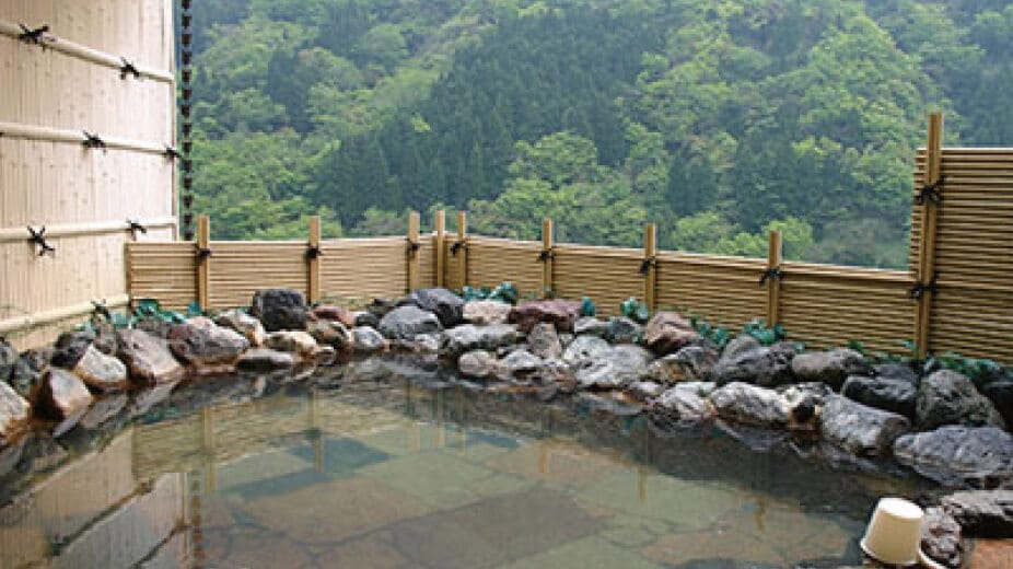 写真：神通峡岩稲温泉　楽今日館　宿泊プラン　ペア利用券